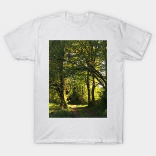 Beautiful Forest Walk In France T-Shirt